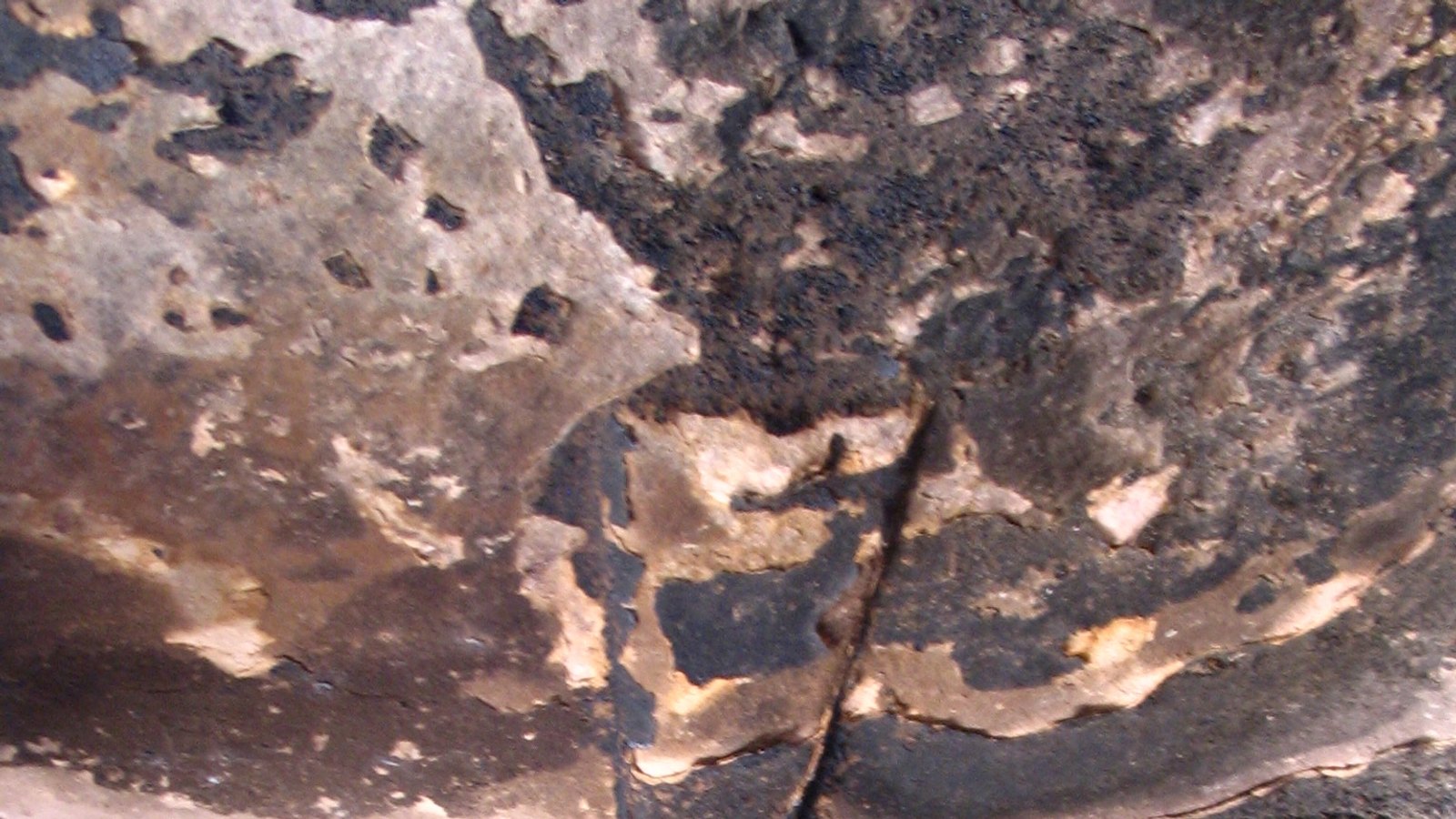 Açık Saray